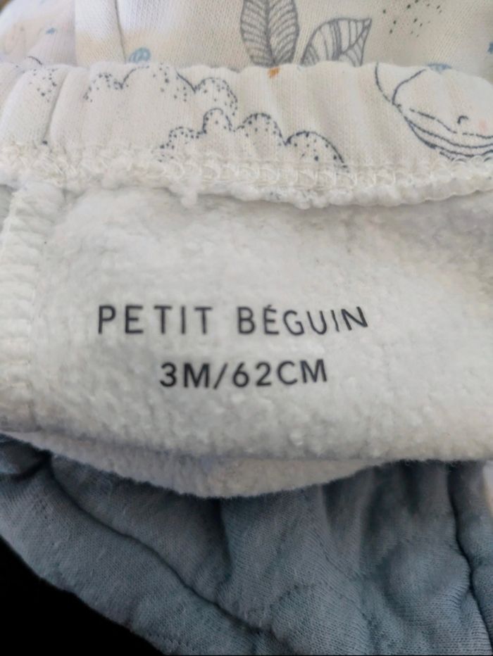 Petit Béguin - photo numéro 2