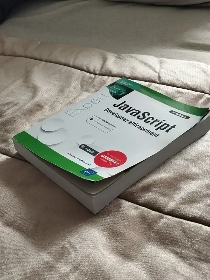 JavaScript développez efficacement 3e édition - photo numéro 9