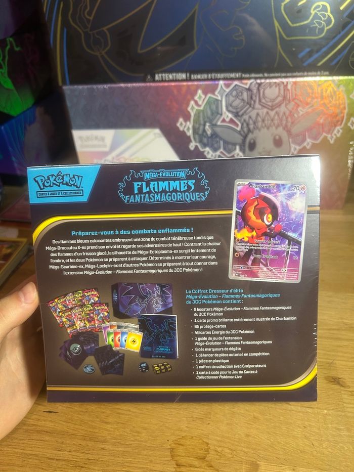 ETB FLammes Fantasmagoriques - photo numéro 2