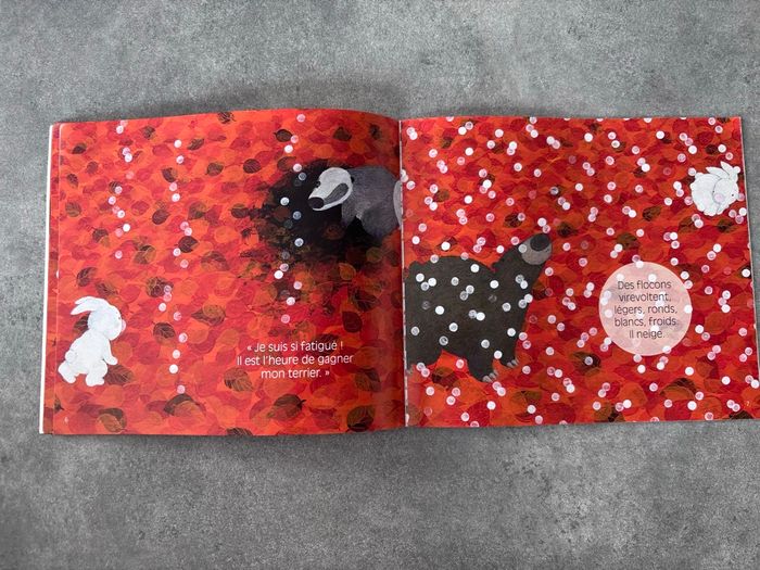 Livre « neige » - photo numéro 5