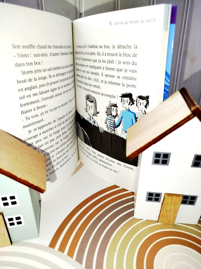 📚 Flammarion Vacances au Galop pour Mimie - photo numéro 2
