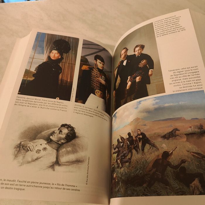La saga des Bonaparte du 18e siècle à nos jours de Pierre Branda - photo numéro 5