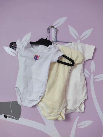 Lot de 3 body manches courtes taille 6 mois