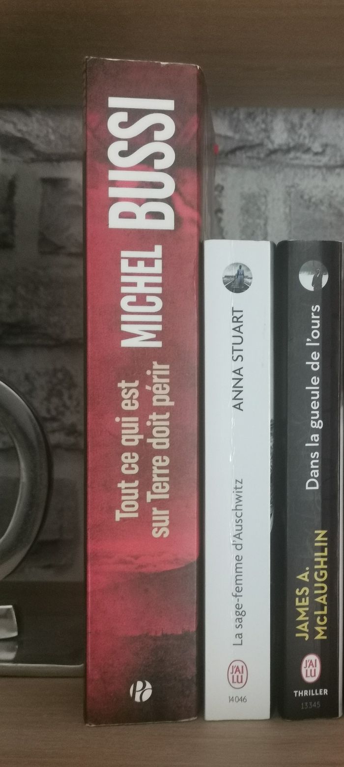 La sage-femme d'Auschwitz, Tout ce qui est sur Terre doit périr, Dans la gueule de l'ours - photo numéro 3