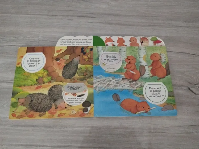 Les petits secrets de la forêt - photo numéro 3