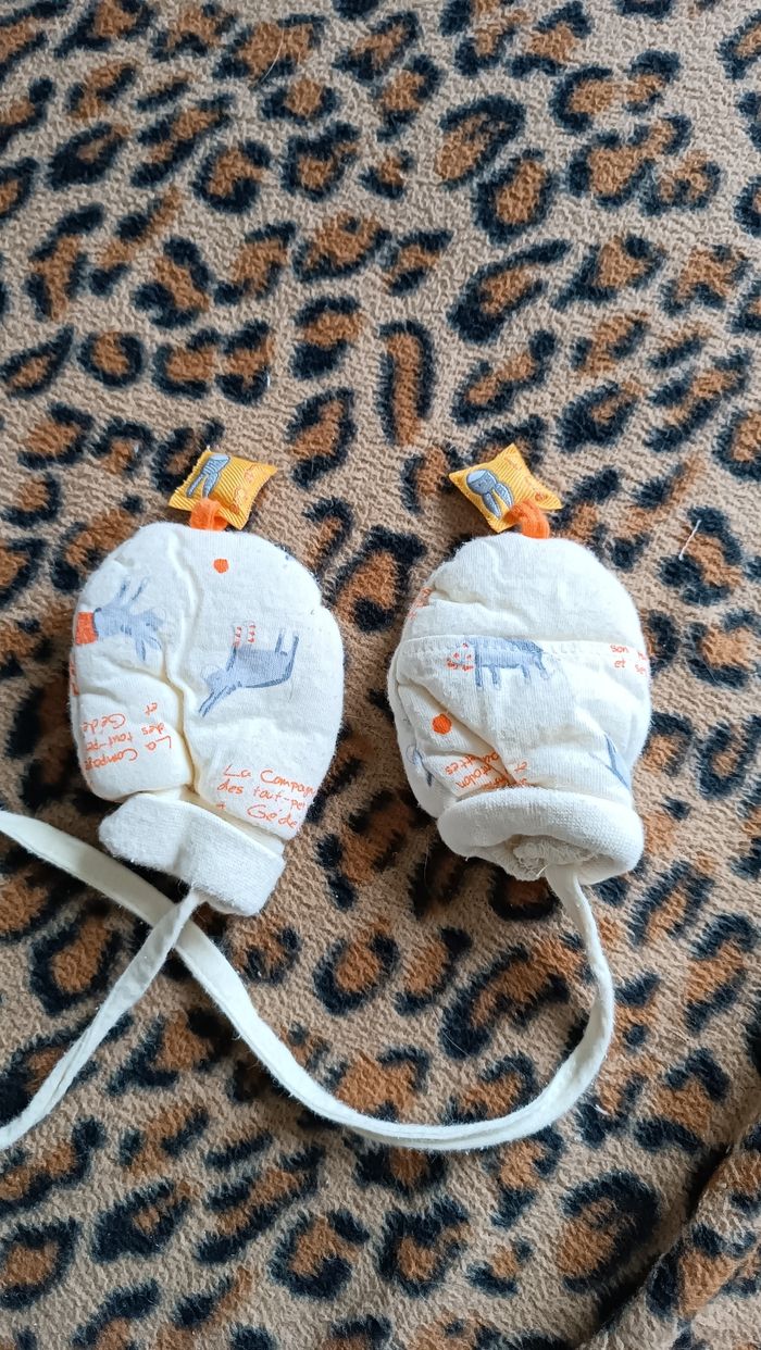 Moufle - photo numéro 2