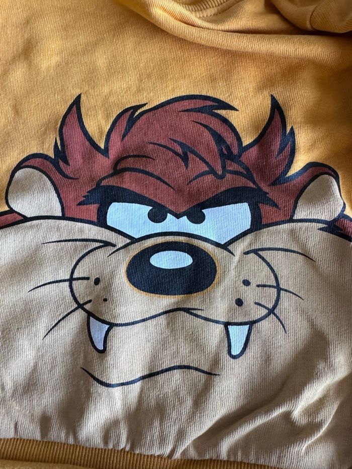 Ensemble Looney Tunes 24 mois Taz - photo numéro 6