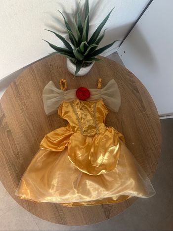Robe déguisement