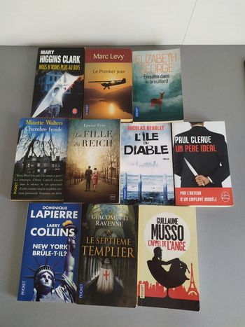 Lot de 10 romans policiers/ thrillers (Lot 1)