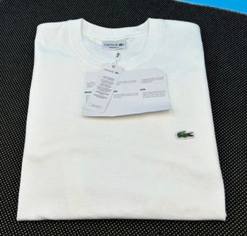 - t-shirts lacoste 👕 🐊 