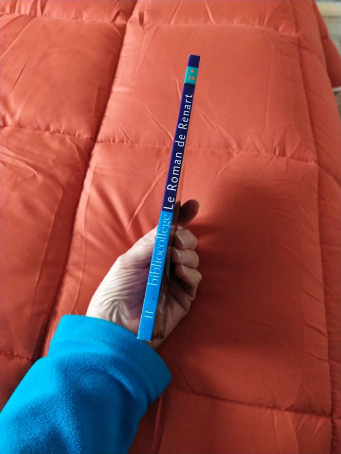 Le Roman de Renart - photo numéro 3