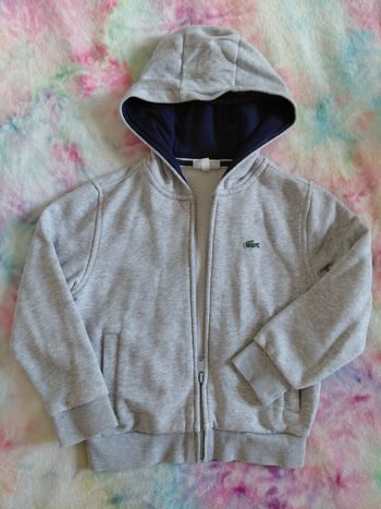 Veste lacoste