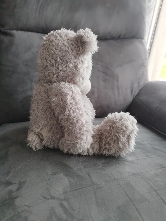 Peluche me to you - photo numéro 7