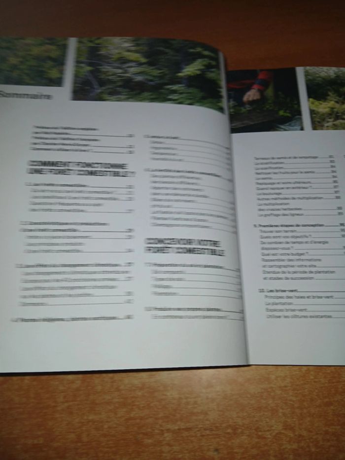 La forêt jardin - photo numéro 6