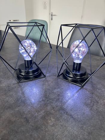 Lot de 2 lampes décoratives
