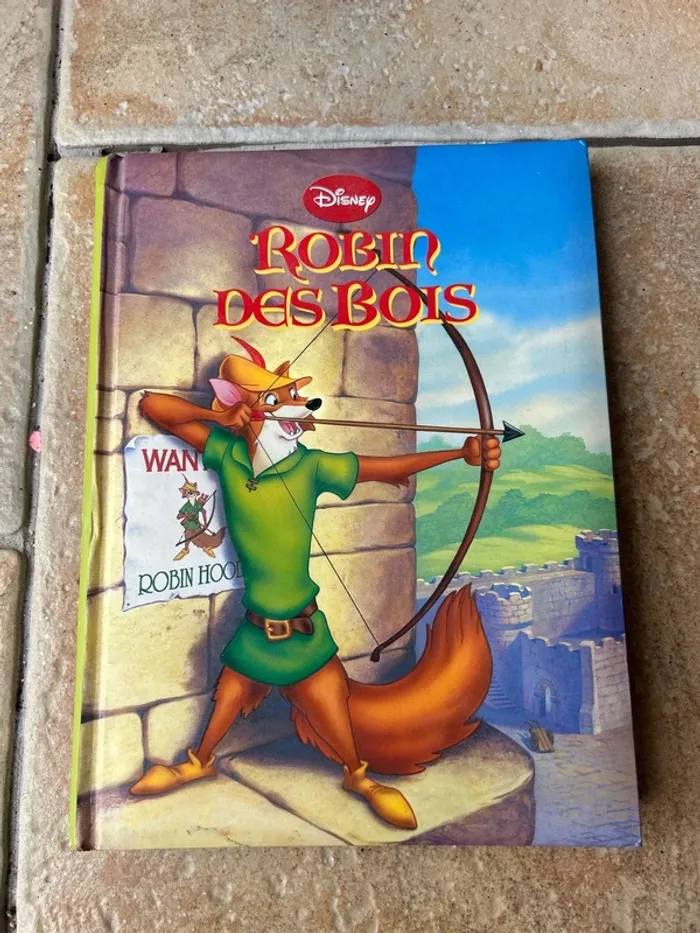 Livre Robin des bois