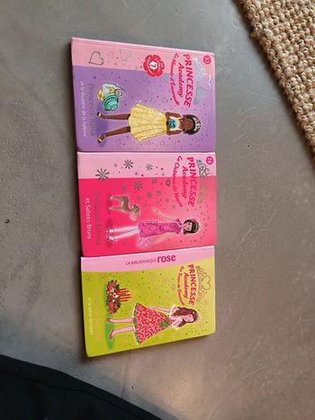 Lot princesse academy