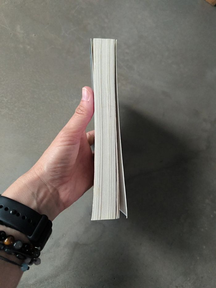 Un éclat d'or et de solitude - photo numéro 4