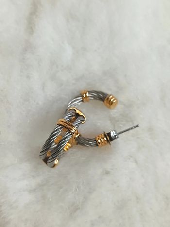 Créoles acier torsadé et doré