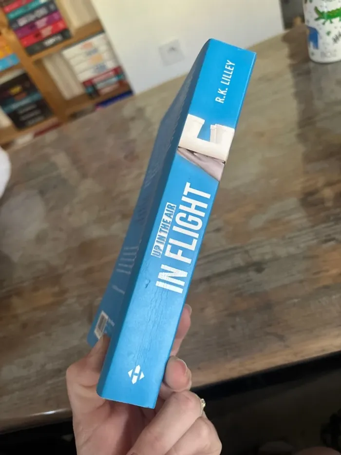 In flight - photo numéro 3