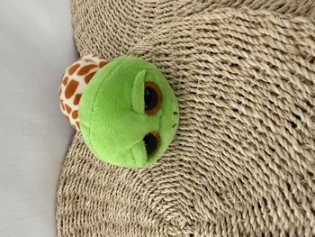 TY- Beanie Boo's - Peluche Zippy la Tortue