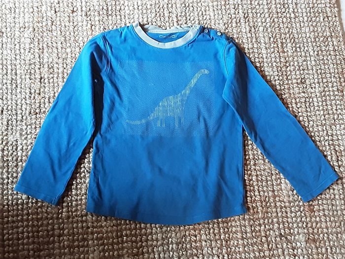 Tshirt manches longues Dinosaure 6 ans