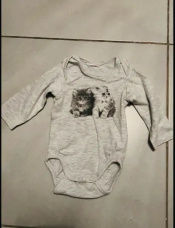 Body gris chat