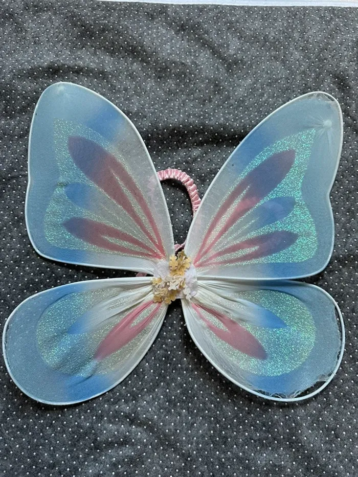 Déguisement ailes de papillon 🦋