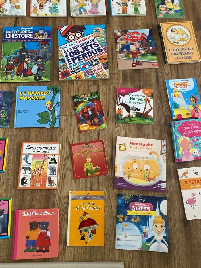 Grand lot de livres jeunes enfants - photo numéro 3