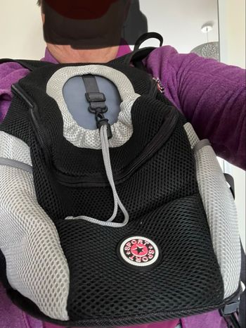 Chien sac  à dos qui se met devant 