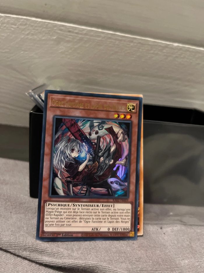 Ogre fantôme et lapin des neiges