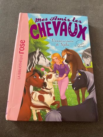 Livre bibliothèque rose mes amis les chevaux tome 35