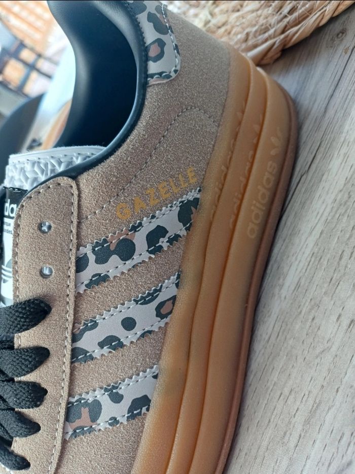 Magnifique Gazelle - photo numéro 4