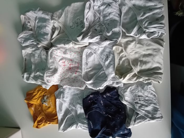 12 bodies