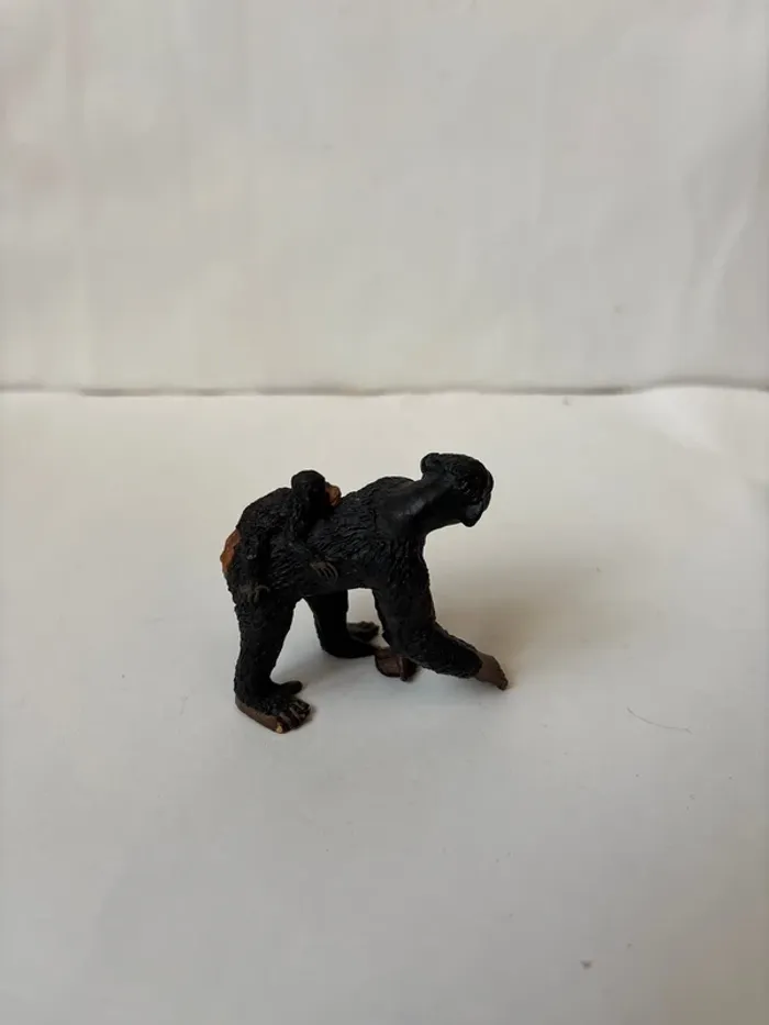 Singes papo - photo numéro 2