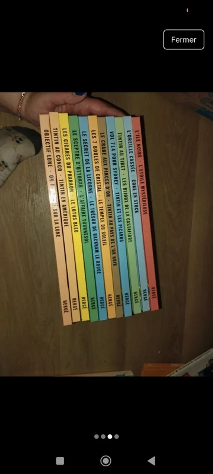 Tintin - photo numéro 3