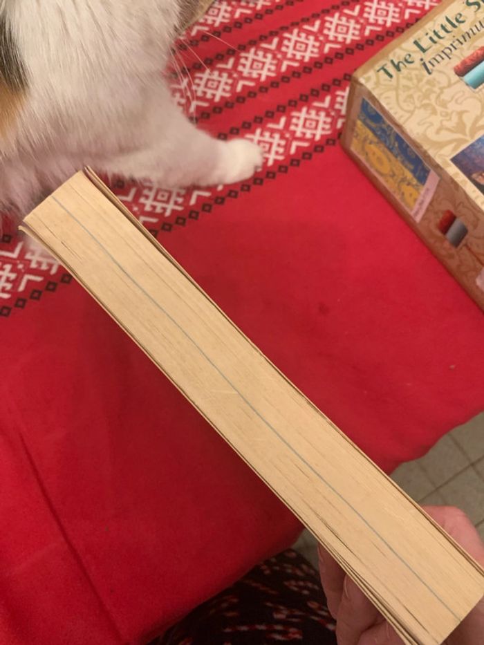 La câblas - photo numéro 4