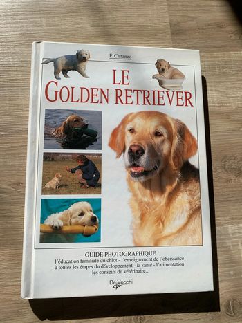 Le golden retriever