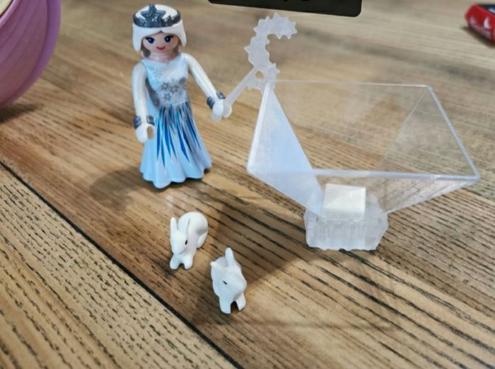 Playmobil Princesse poussière d étoiles et ses petits animaux