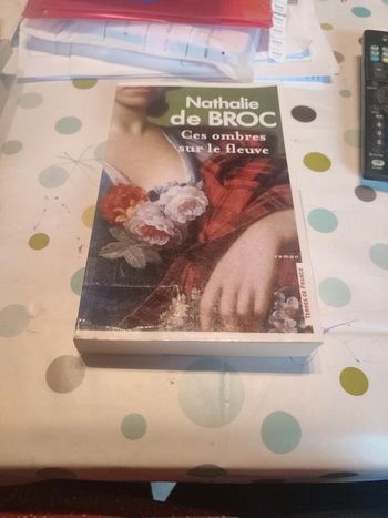 Ces ombres sur le fleuve de Nathalie de broc