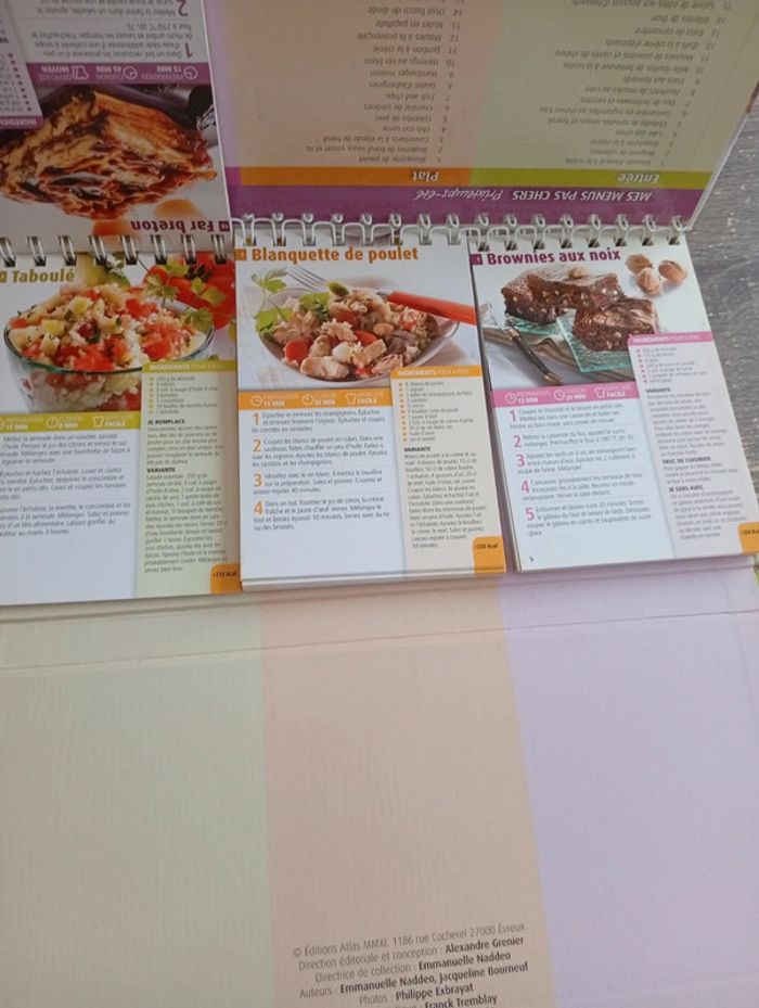 Mes menus pas chers Printemps-été - photo numéro 3