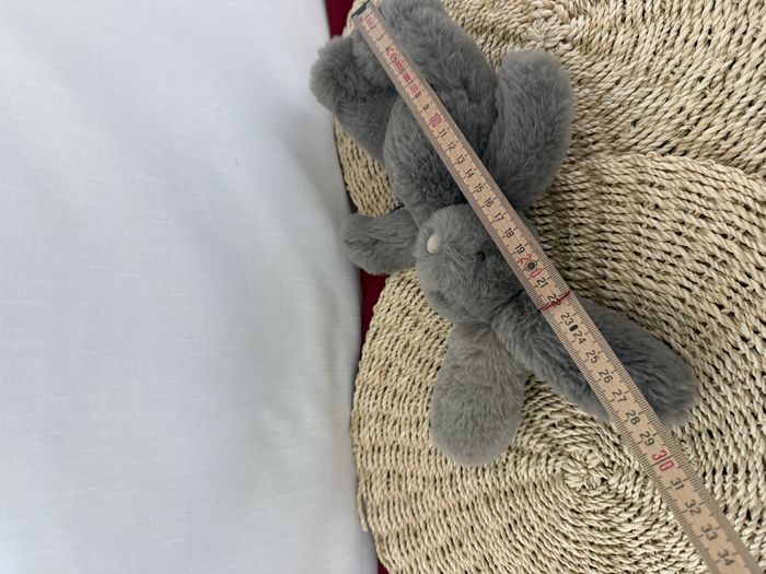 Petit Lapin gris Arthur et Louison - MOULIN ROTY - photo numéro 4