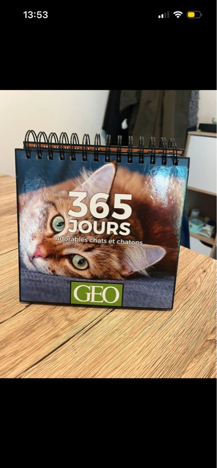 Livre 365 jours Chats - photo numéro 2