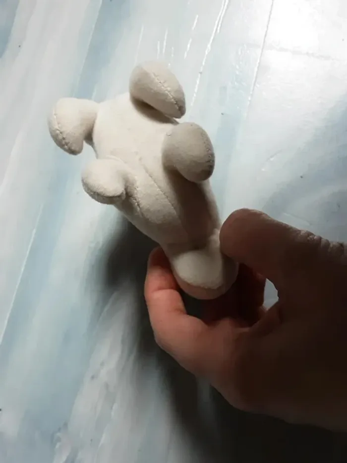 Mini chien - photo numéro 4