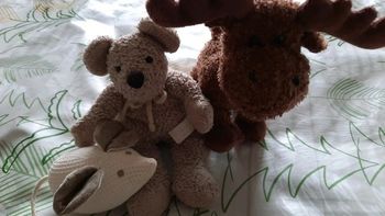 Petites peluches le lot