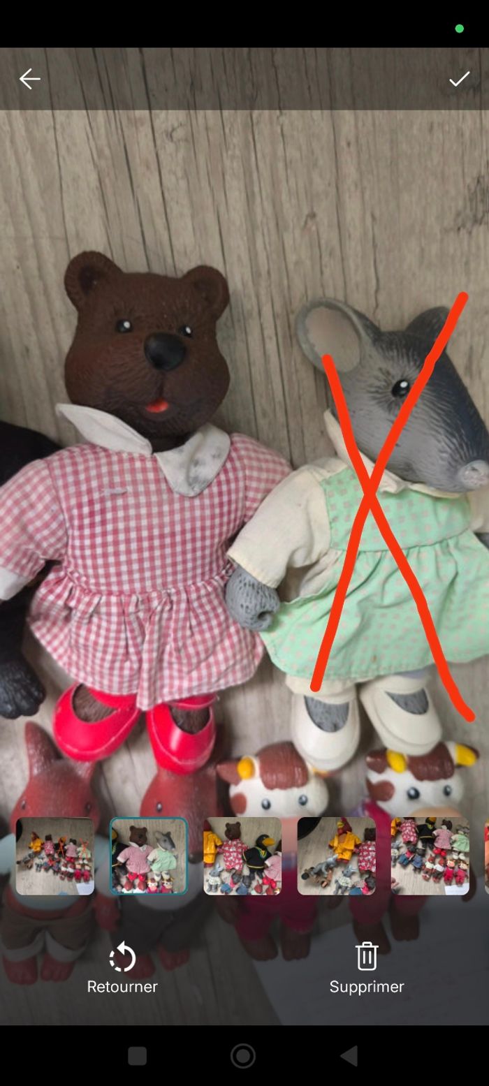 Copain de la forêt - photo numéro 2