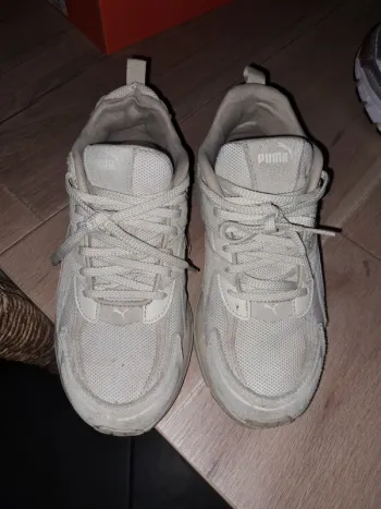 Basket puma