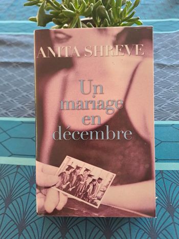 Livre Un Mariage en Décembre, Anita Shreve