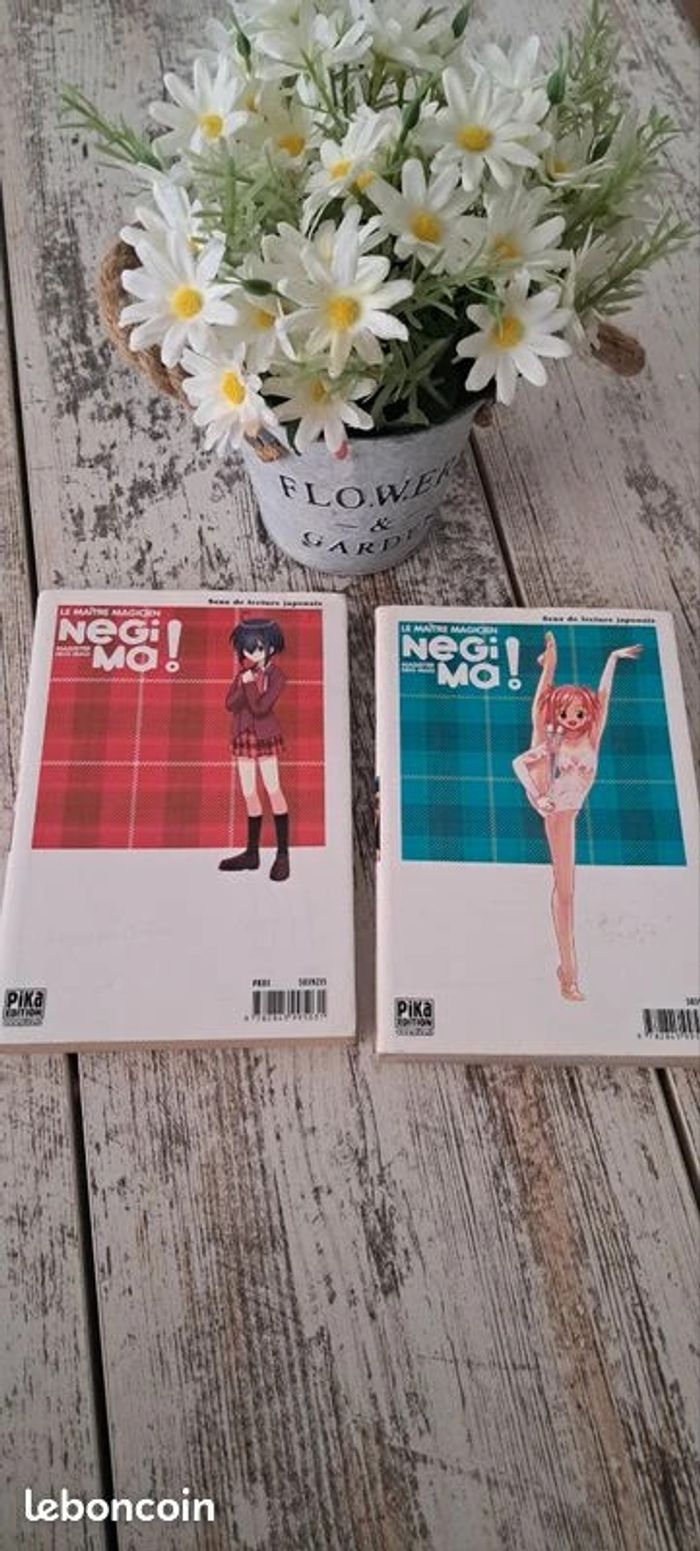 Negima ! le maître magicien tome 1 et 2 - photo numéro 3