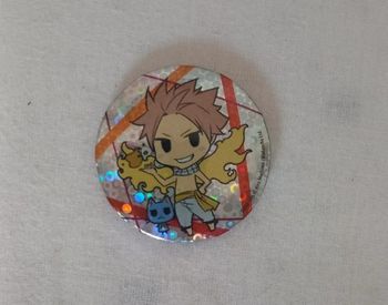 Pins Fairy Tail Natsu